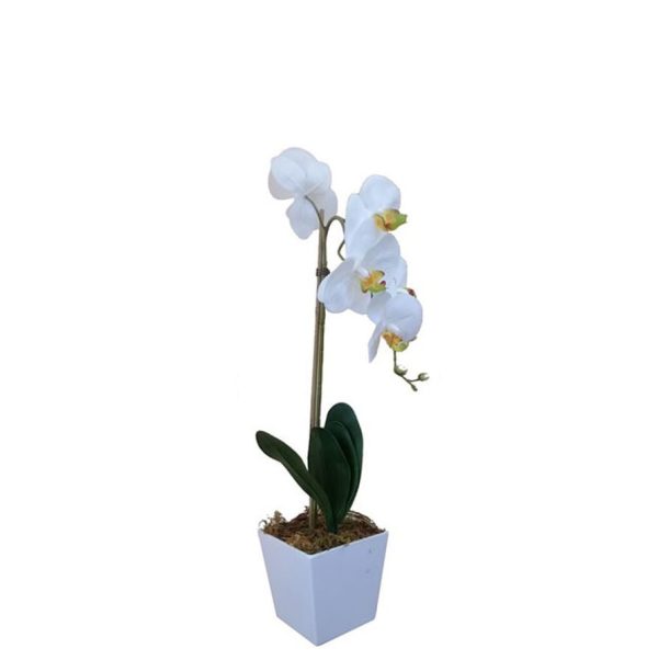 artificial orchid in pot white
