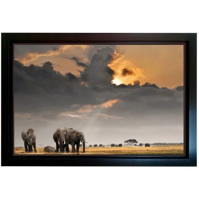 framed print of elephants