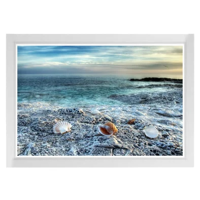 framed print of sea shells