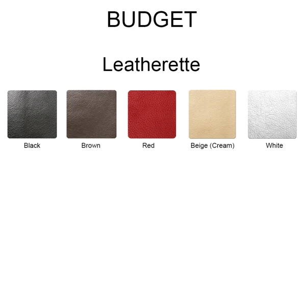 BUDGET-LEATHERETTE-uniform format