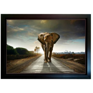 print of elephant on road