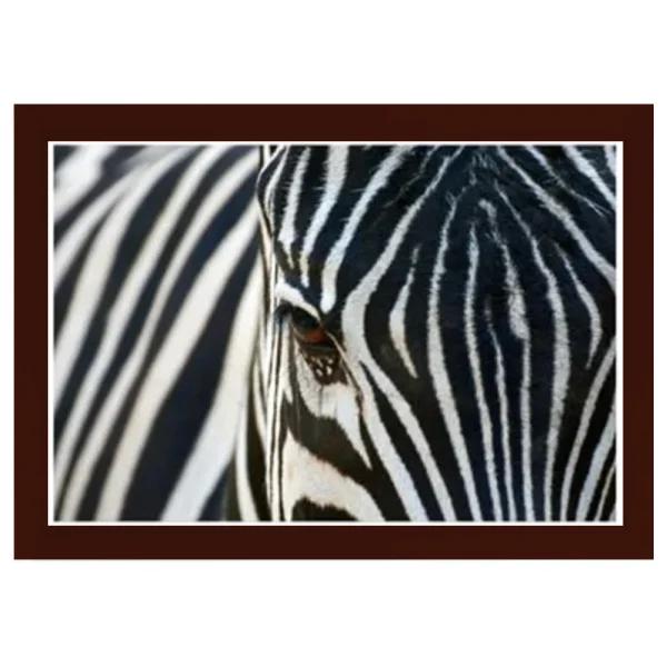 framed print of zebra