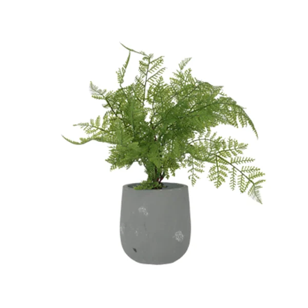FERN POTTED PLANT 40CM