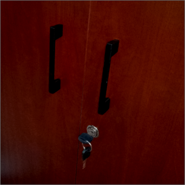 IQ Credenza Hinged Door and Lock - Mahogany - Image 4