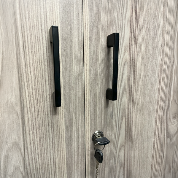 IQ Stationery Cab (1500) Lock and Handle close up