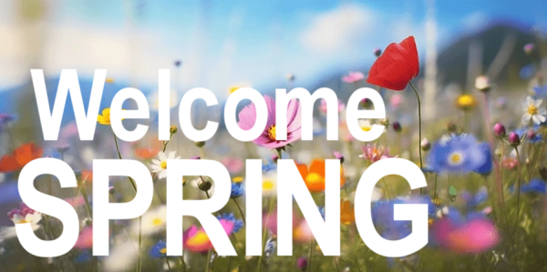 Hello Spring - Mobile header ad